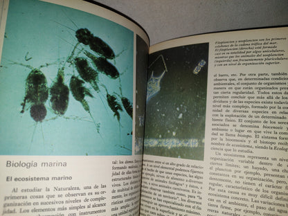 158- Los Océanos. Biblioteca Salvat De Grandes Temas - 1975