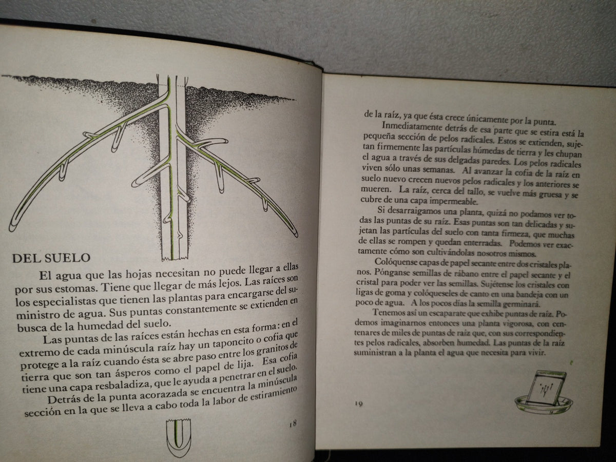 145- Mis Primeros Conocimientos. Plantas, Culebras, Conservación. Editorial Cumbre 1981