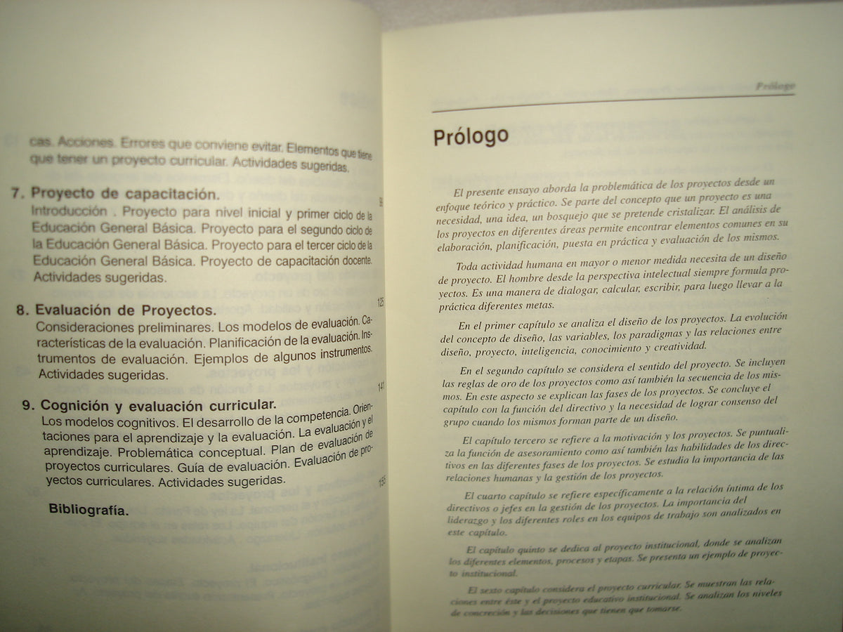 24- Cómo Diseñar Y Elaborar Proyectos - Enrique Palladino
