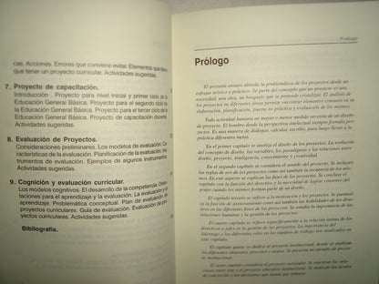 24- Cómo Diseñar Y Elaborar Proyectos - Enrique Palladino