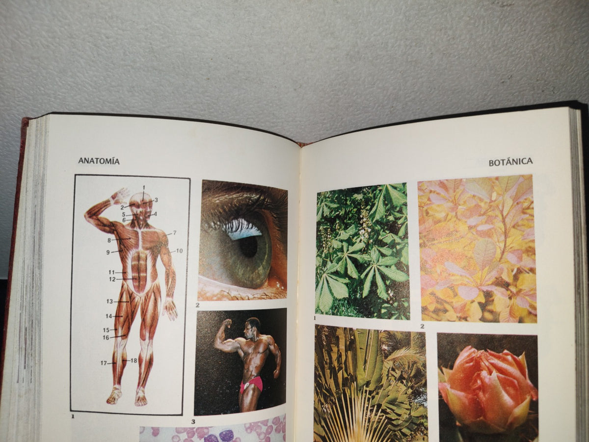 80- Enciclopedia Práctica Del Estudiante 7. Ciencias Naturales - Promexa - 1982