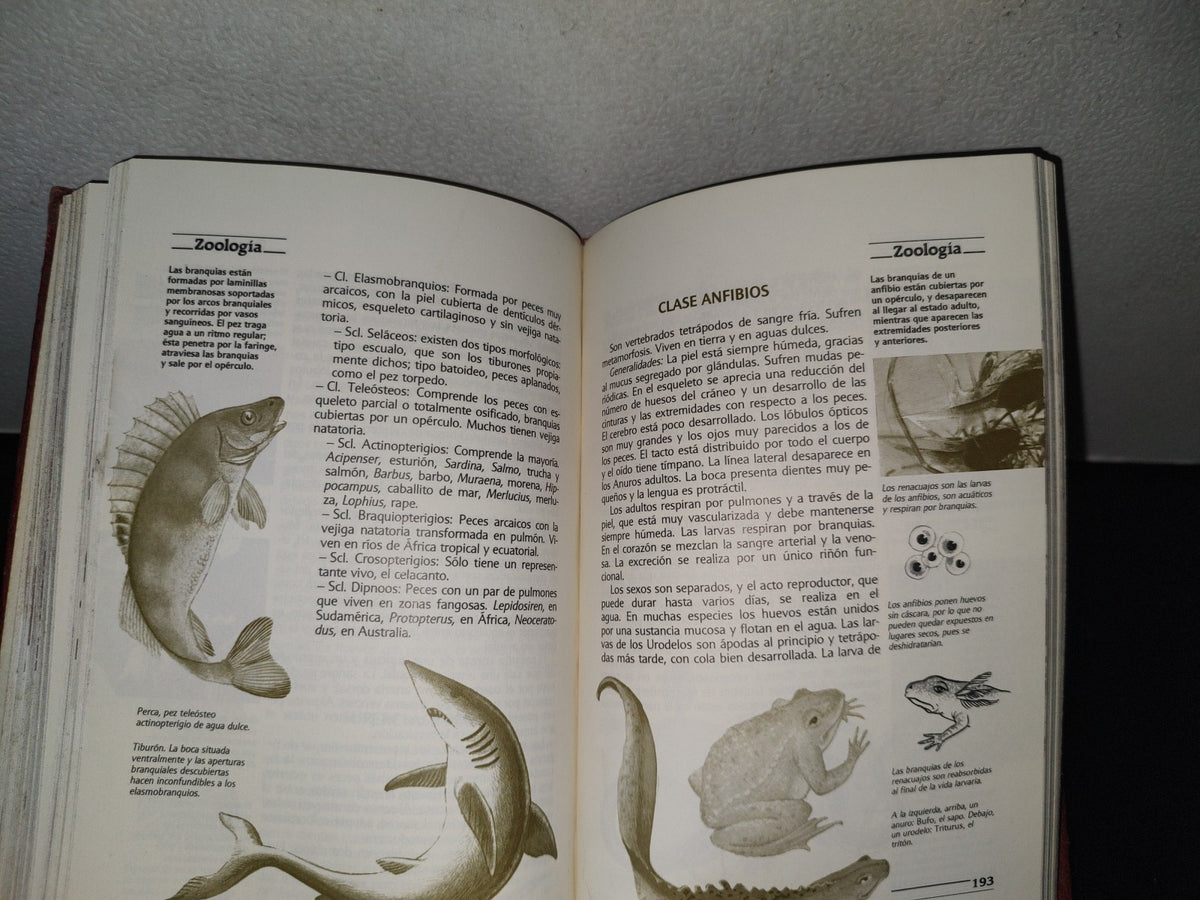 80- Enciclopedia Práctica Del Estudiante 7. Ciencias Naturales - Promexa - 1982