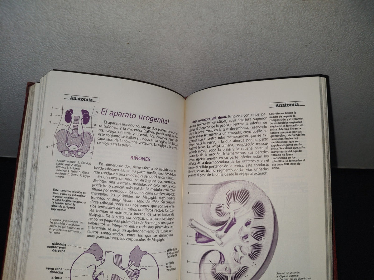 80- Enciclopedia Práctica Del Estudiante 7. Ciencias Naturales - Promexa - 1982