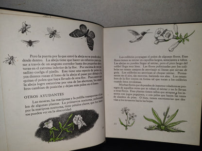 145- Mis Primeros Conocimientos. Plantas, Culebras, Conservación. Editorial Cumbre 1981