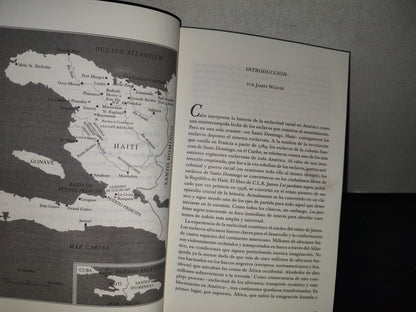93- Los Jacobinos Negros. Toussaint L'Ouverture Y La Revolución De Haití. C. L. R. James 1. Ed. 2003