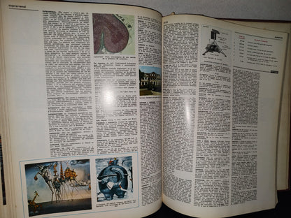 74- Enciclopedia Salvat Diccionario. Tomo 12 Shang - Z - Salvat Editores, S. A. - 1972