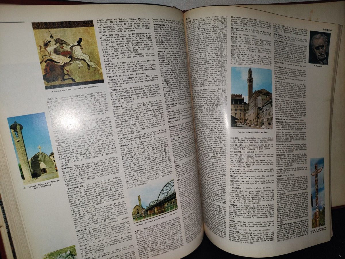 74- Enciclopedia Salvat Diccionario. Tomo 12 Shang - Z - Salvat Editores, S. A. - 1972