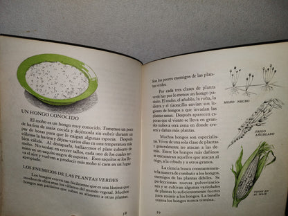 145- Mis Primeros Conocimientos. Plantas, Culebras, Conservación. Editorial Cumbre 1981