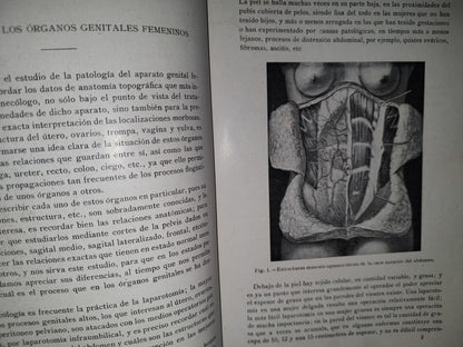 91- Antiguo Tratado De Ginecología - Dr. S. Recasens - Madrid: 1918