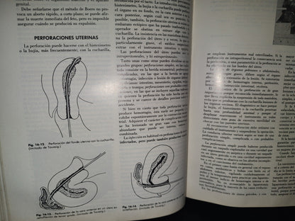 209- Terapéutica Ginecológica - Carlos J. Calatroni - Panamericana