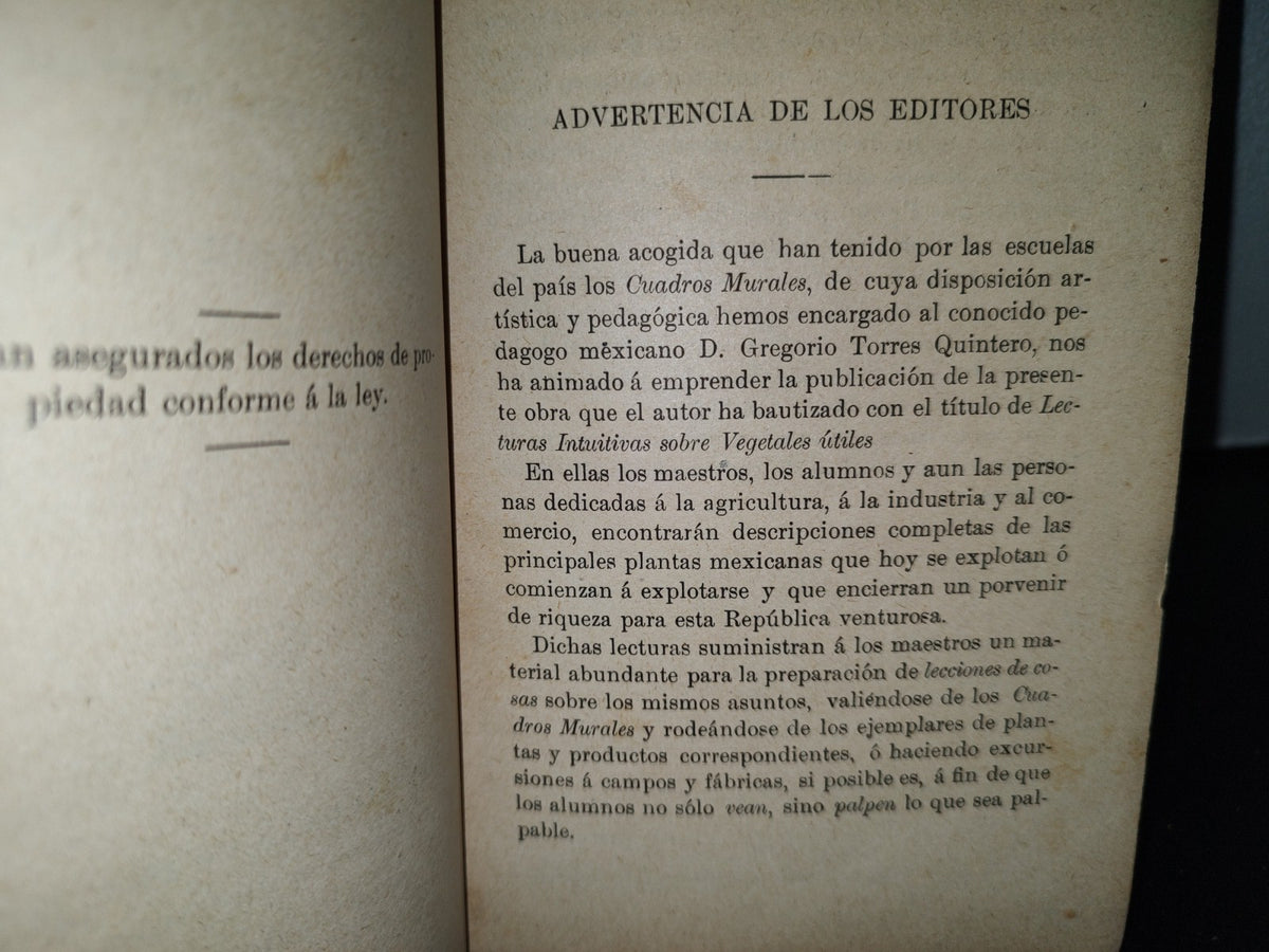 64- Lecturas Intuitivas Sobre Vegetales Útiles - Gregorio Torres Quintero - 1904