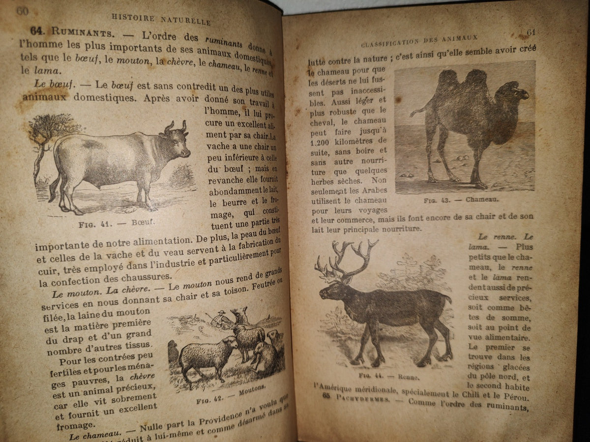 59- Ciencias Físicas Y Naturales / Premieres Notions De Sciences Physiques Et Naturelles 1922