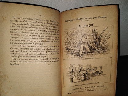 64- Lecturas Intuitivas Sobre Vegetales Útiles - Gregorio Torres Quintero - 1904