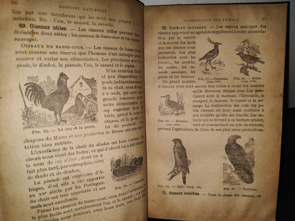 59- Ciencias Físicas Y Naturales / Premieres Notions De Sciences Physiques Et Naturelles 1922