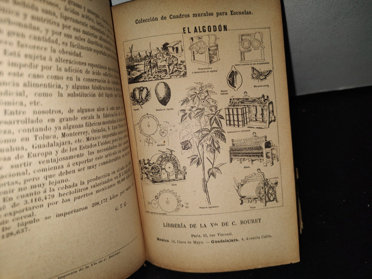 64- Lecturas Intuitivas Sobre Vegetales Útiles - Gregorio Torres Quintero - 1904