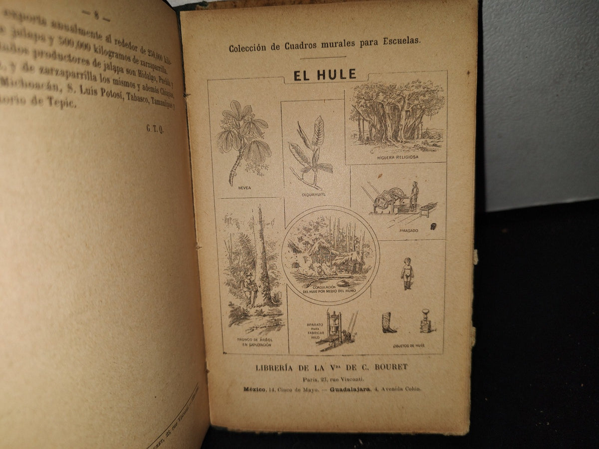 64- Lecturas Intuitivas Sobre Vegetales Útiles - Gregorio Torres Quintero - 1904