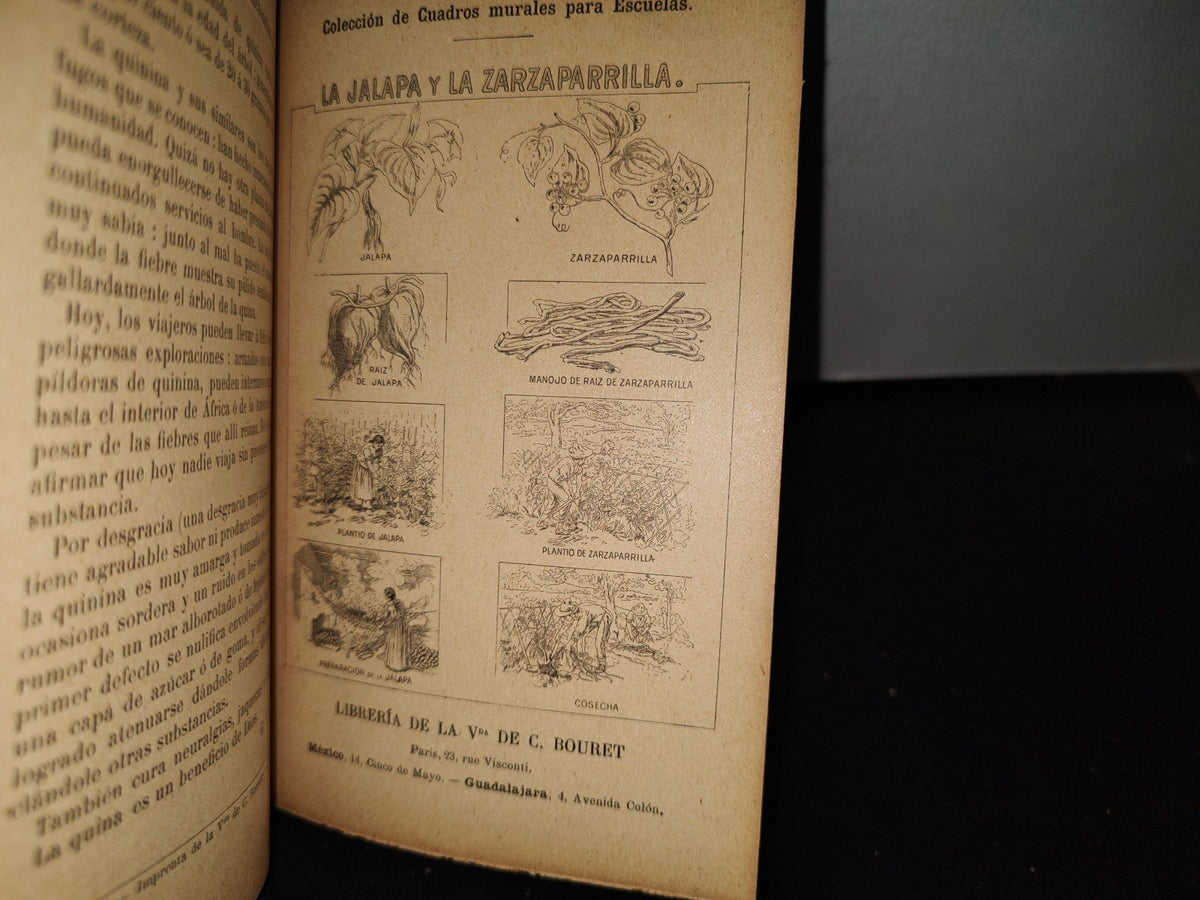 64- Lecturas Intuitivas Sobre Vegetales Útiles - Gregorio Torres Quintero - 1904