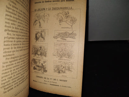 64- Lecturas Intuitivas Sobre Vegetales Útiles - Gregorio Torres Quintero - 1904