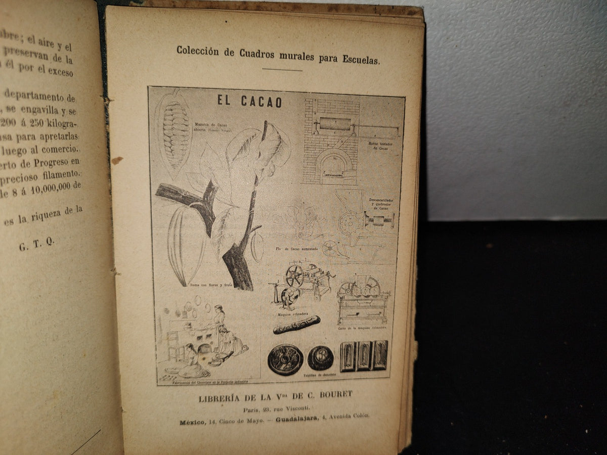 64- Lecturas Intuitivas Sobre Vegetales Útiles - Gregorio Torres Quintero - 1904