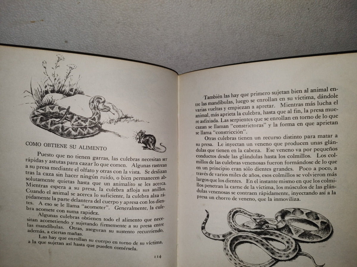 145- Mis Primeros Conocimientos. Plantas, Culebras, Conservación. Editorial Cumbre 1981