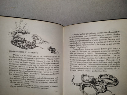145- Mis Primeros Conocimientos. Plantas, Culebras, Conservación. Editorial Cumbre 1981