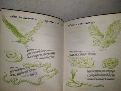 145- Mis Primeros Conocimientos. Plantas, Culebras, Conservación. Editorial Cumbre 1981