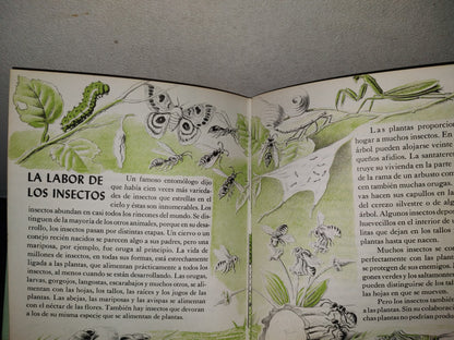 145- Mis Primeros Conocimientos. Plantas, Culebras, Conservación. Editorial Cumbre 1981
