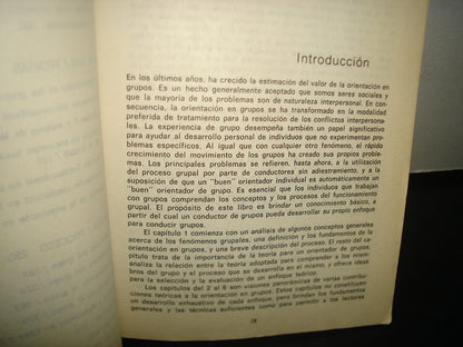 4- Asesoramiento De Grupos - James C. Hansen