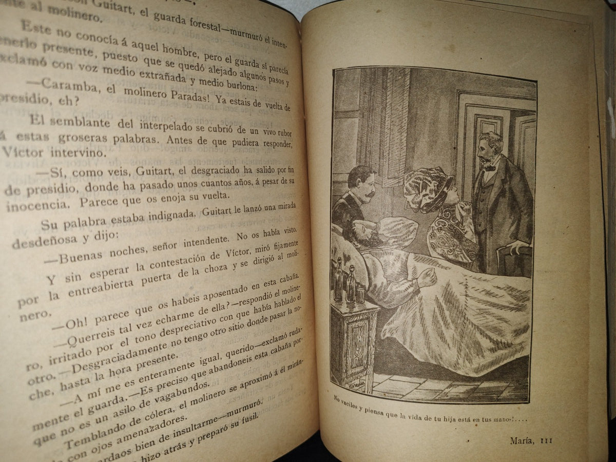 64- María. El Hada Del Bosque. Libro Segundo - Lorenzo Gualtieri - Vecchi Y Casini Editores - 1900'S