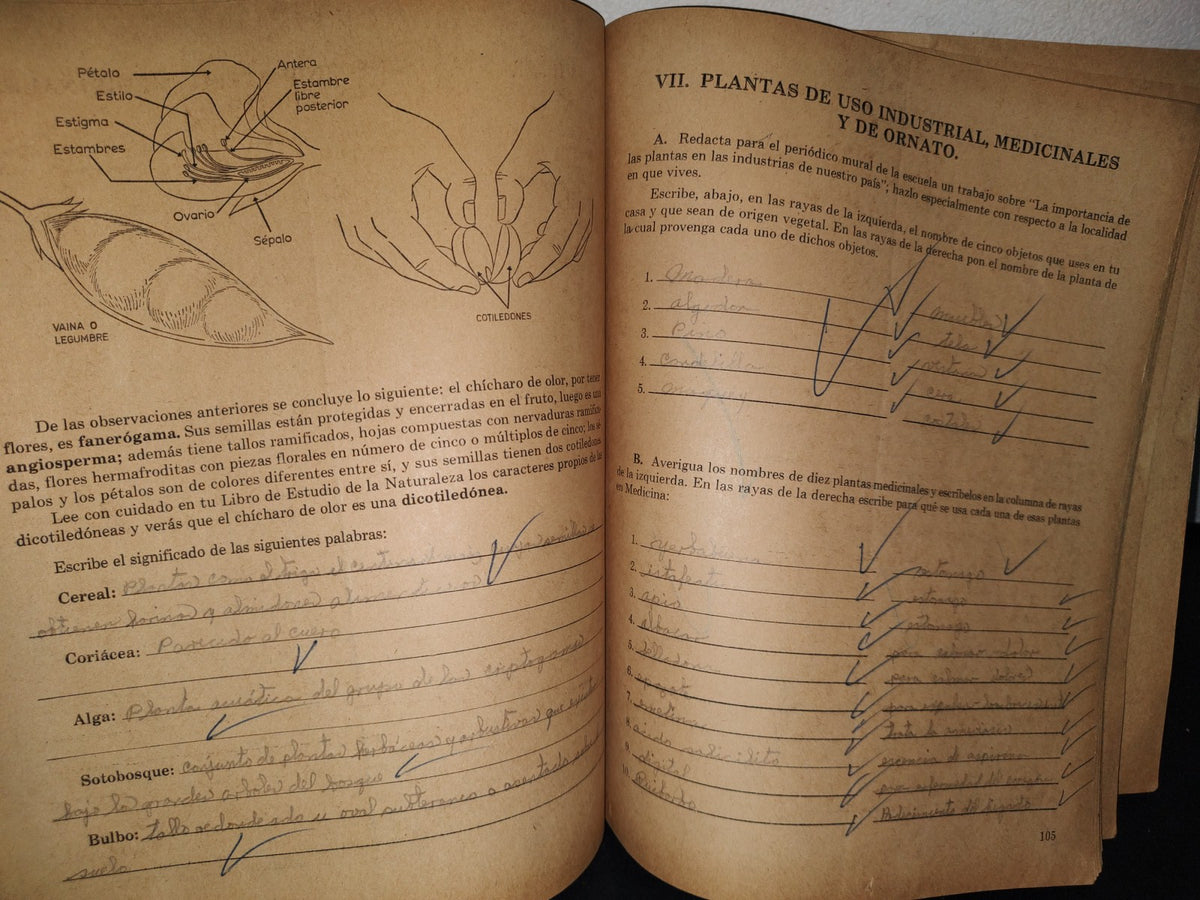 74- Mi Cuaderno De Trabao De Sexto Año. Estudio De La Naturaleza - 1969