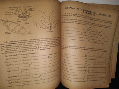 74- Mi Cuaderno De Trabao De Sexto Año. Estudio De La Naturaleza - 1969