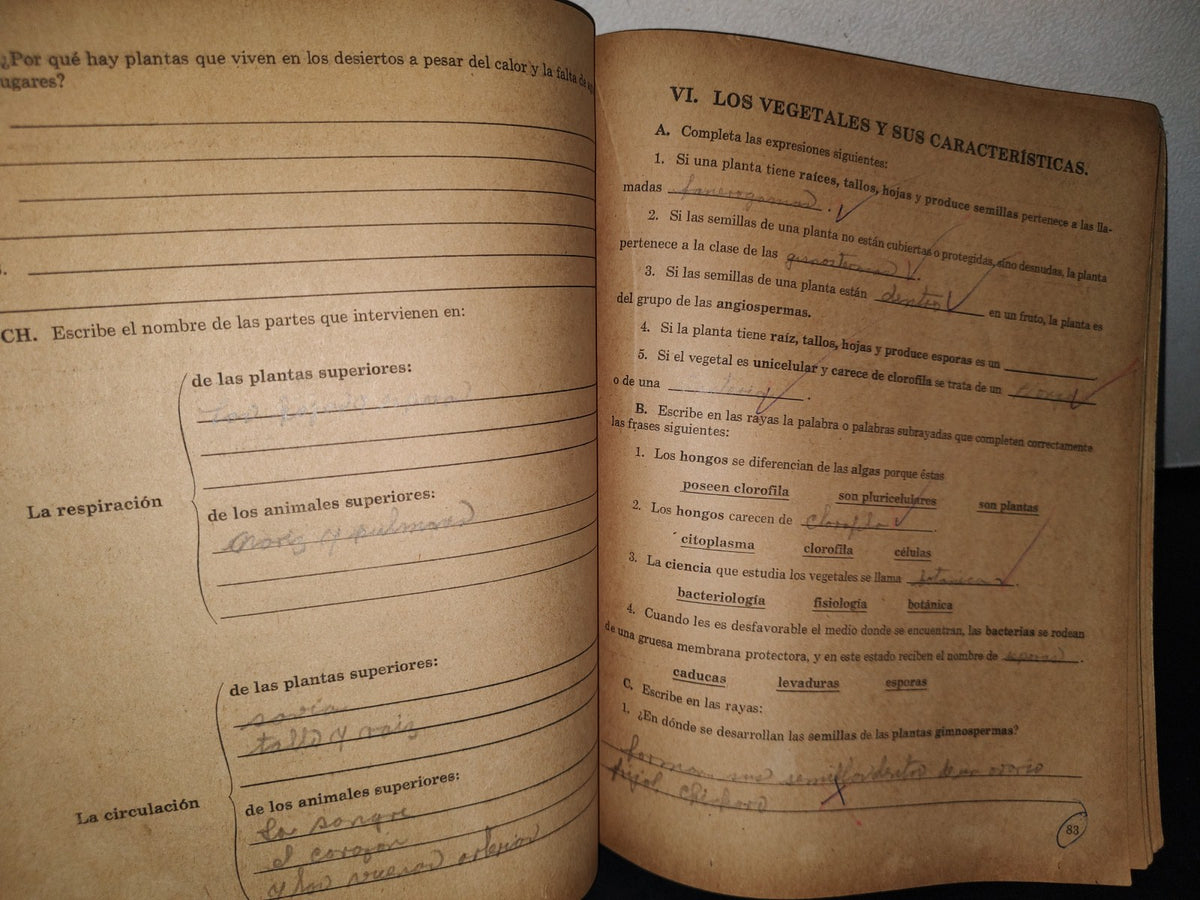 74- Mi Cuaderno De Trabao De Sexto Año. Estudio De La Naturaleza - 1969