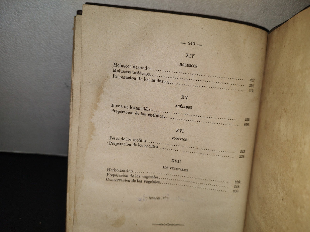 91- Taxidermia. Manual Práctico Del Disecador De Animales Y Plantas - Manuel Llofriu - Madrid. Librería De Cuesta, 1885