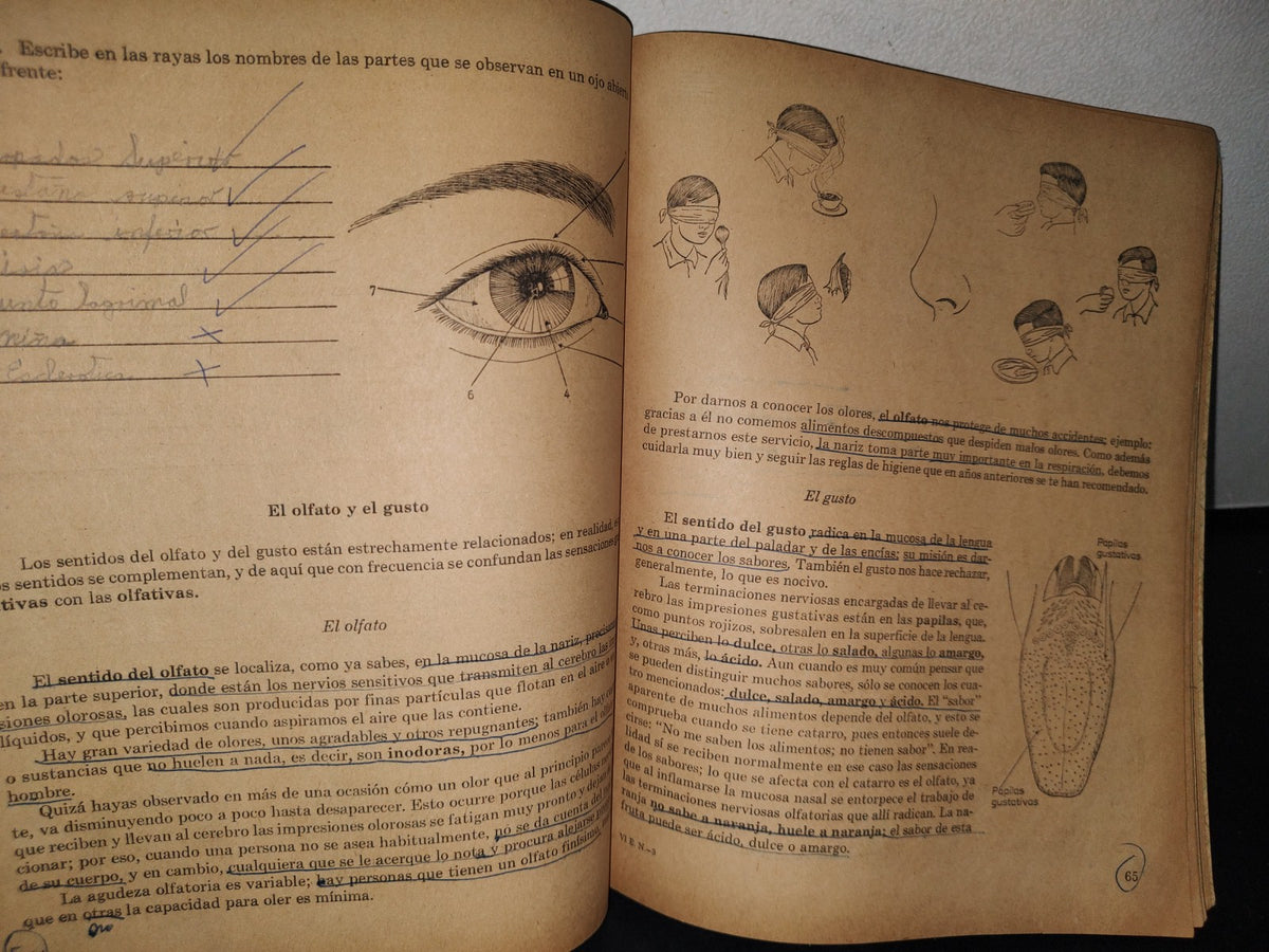 74- Mi Cuaderno De Trabao De Sexto Año. Estudio De La Naturaleza - 1969