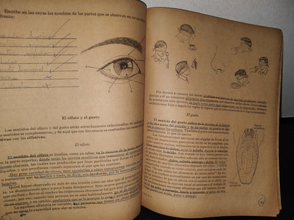 74- Mi Cuaderno De Trabao De Sexto Año. Estudio De La Naturaleza - 1969