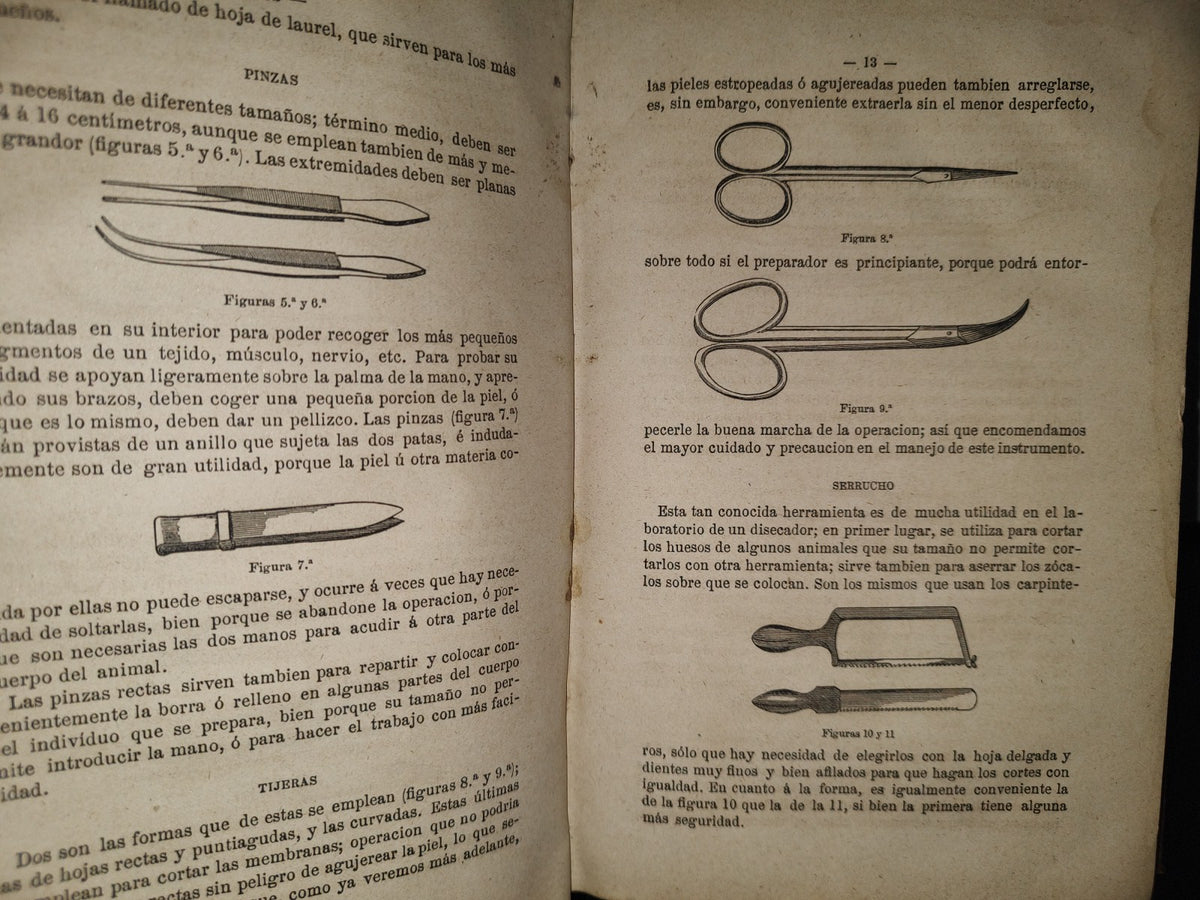91- Taxidermia. Manual Práctico Del Disecador De Animales Y Plantas - Manuel Llofriu - Madrid. Librería De Cuesta, 1885
