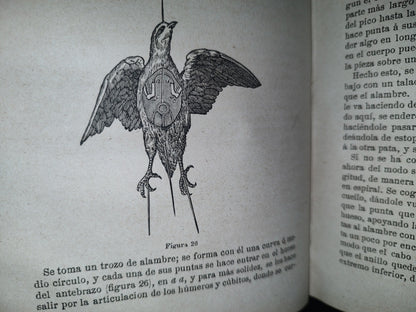 91- Taxidermia. Manual Práctico Del Disecador De Animales Y Plantas - Manuel Llofriu - Madrid. Librería De Cuesta, 1885