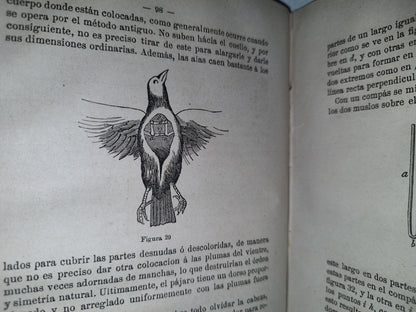 91- Taxidermia. Manual Práctico Del Disecador De Animales Y Plantas - Manuel Llofriu - Madrid. Librería De Cuesta, 1885
