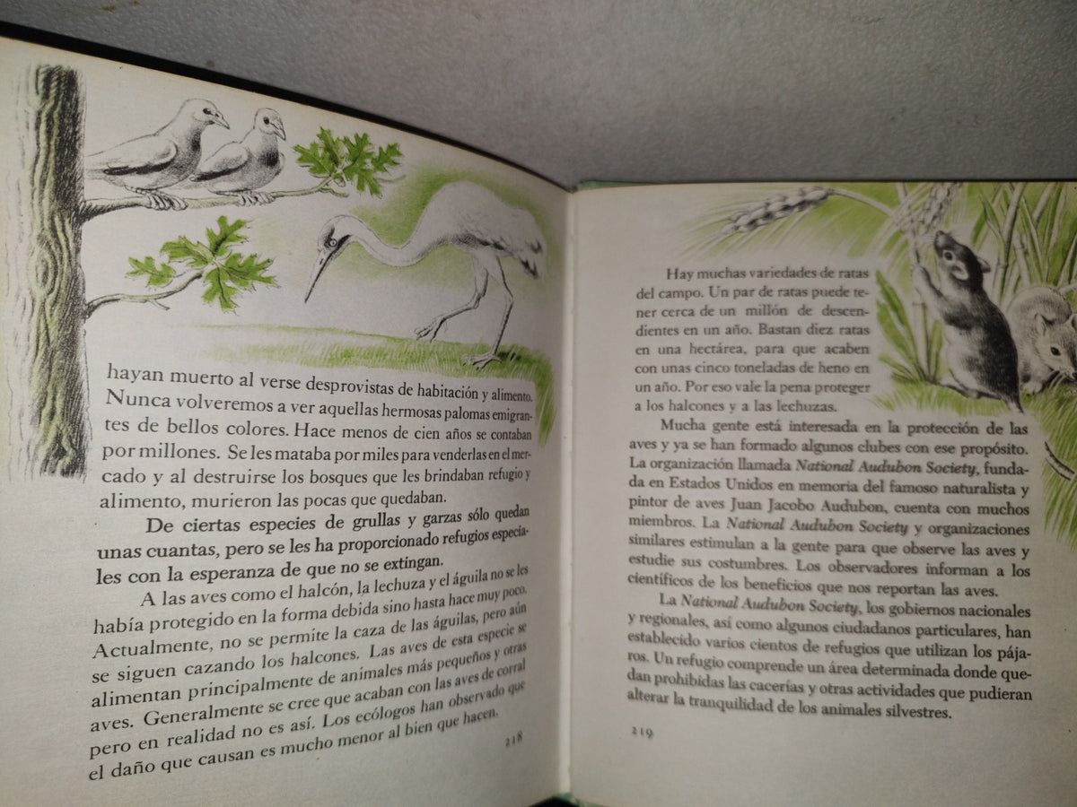 145- Mis Primeros Conocimientos. Plantas, Culebras, Conservación. Editorial Cumbre 1981