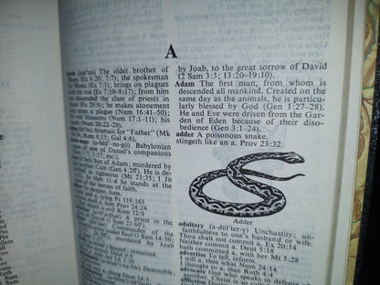 202- The Holy Bible. Dictionary-Concordance. Old And New Testaments In The King James Version. Omega Publishing House, 1970