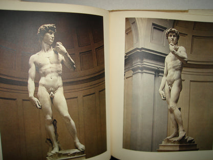 160- Inglés - Michelangelo - Nicholas Wadley - 1965