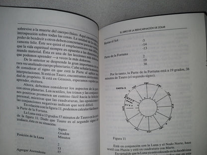 80- El Libro De Reencarnación De Zolar. Cómo Descubrir Sus Vidas Pasadas - 1A. Ed. 1997