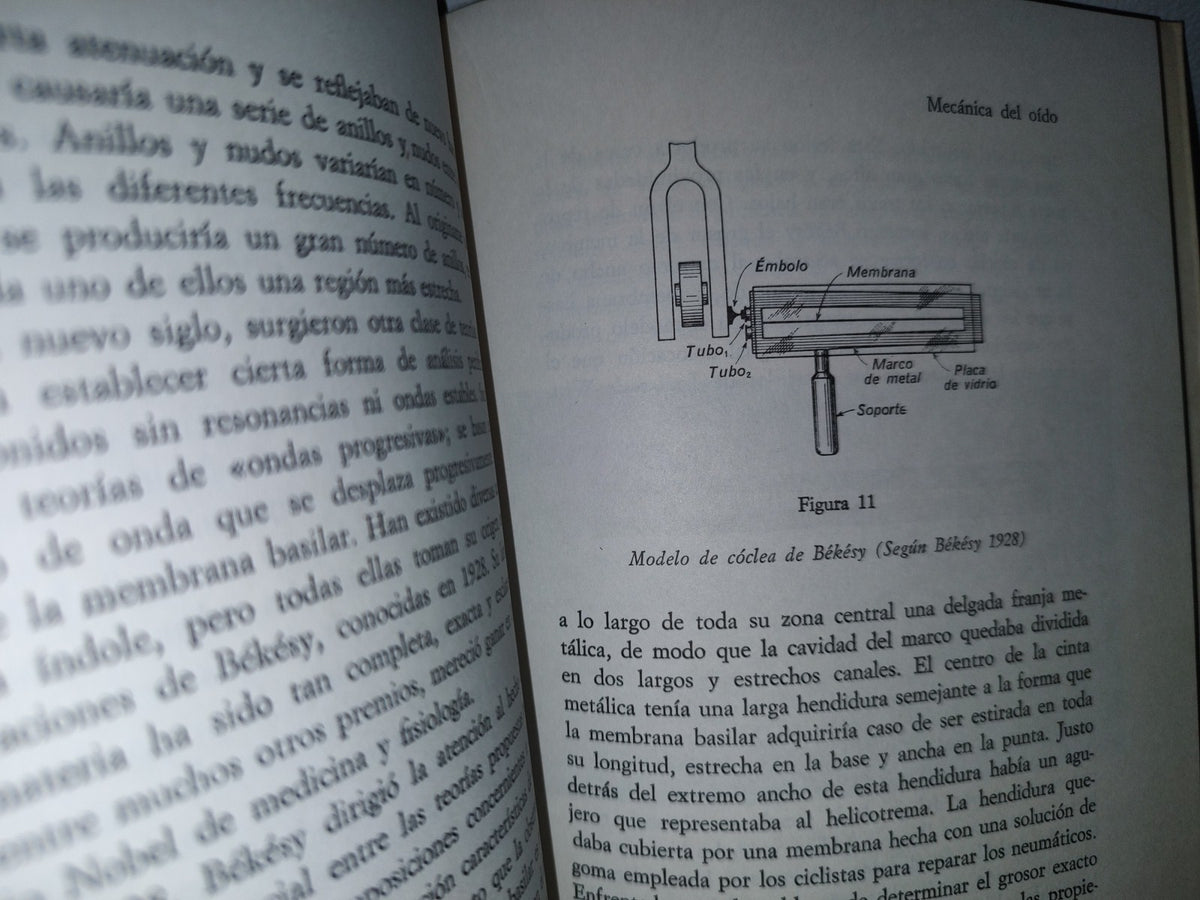 93- Biblioteca De Psicología 4. Procesos Sensoriales - Mathew Alpern, Merie Lawrence, David Wolks