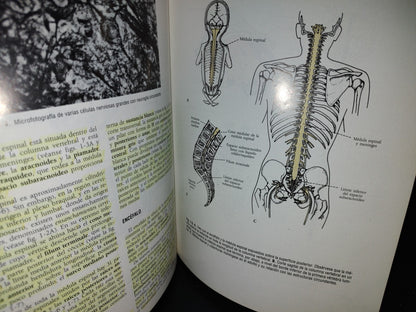 57- Neuroanatomía Clínica. Cuarta Edición - Richard S. Snell - 1999