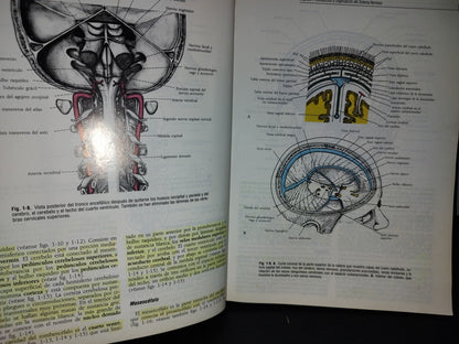 57- Neuroanatomía Clínica. Cuarta Edición - Richard S. Snell - 1999