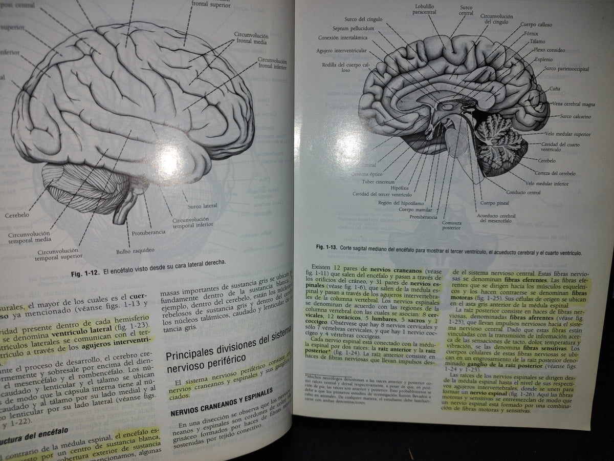 57- Neuroanatomía Clínica. Cuarta Edición - Richard S. Snell - 1999