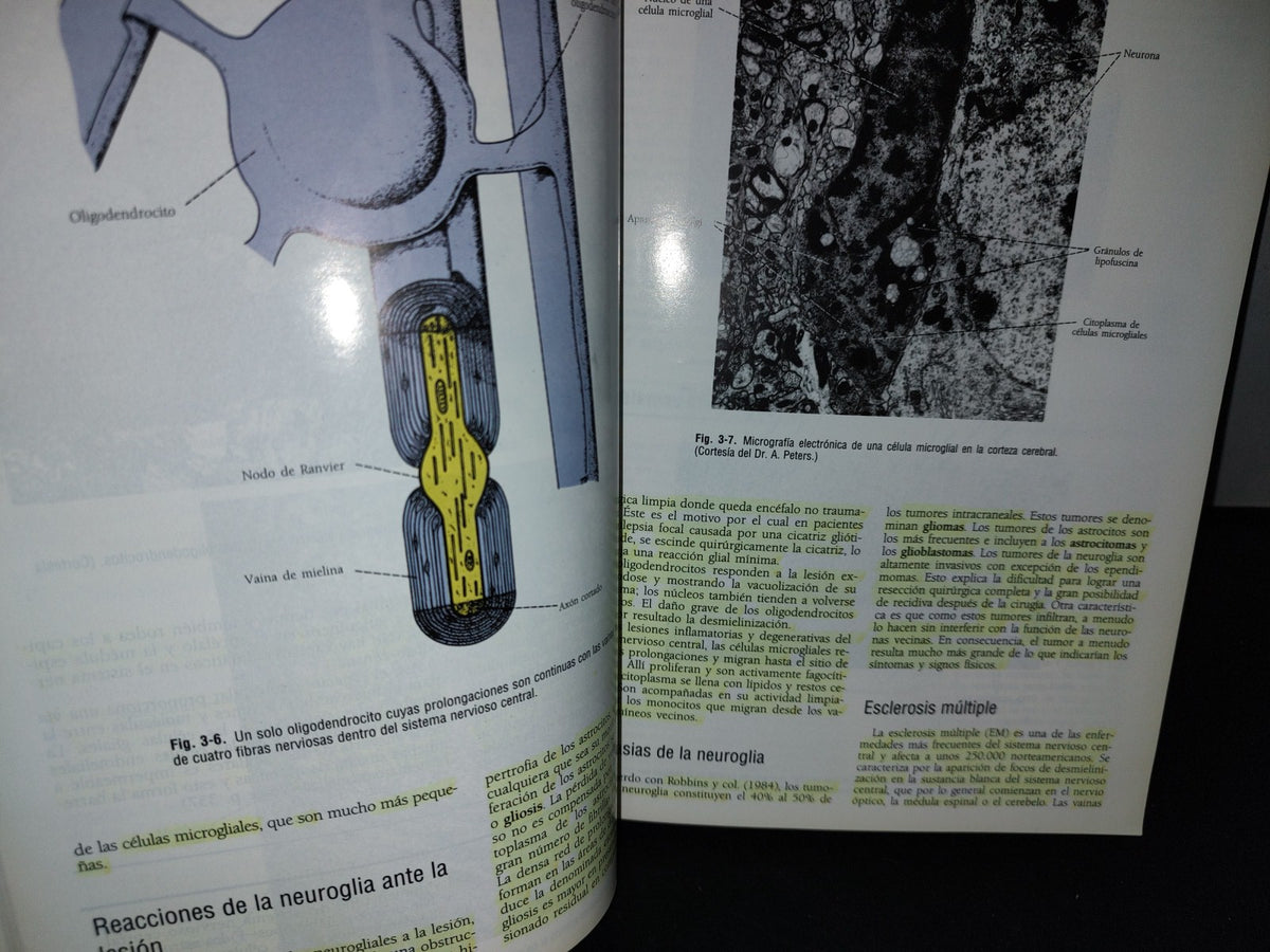 57- Neuroanatomía Clínica. Cuarta Edición - Richard S. Snell - 1999