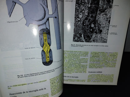 57- Neuroanatomía Clínica. Cuarta Edición - Richard S. Snell - 1999