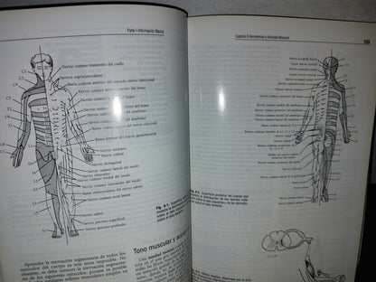 57- Neuroanatomía Clínica. Cuarta Edición - Richard S. Snell - 1999