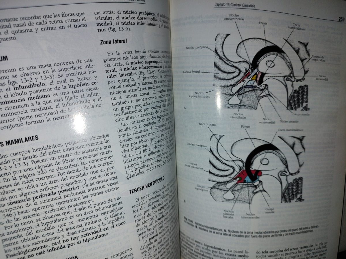 57- Neuroanatomía Clínica. Cuarta Edición - Richard S. Snell - 1999
